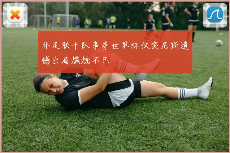非足联十队争夺世界杯仅突尼斯遗憾出局尴尬不已