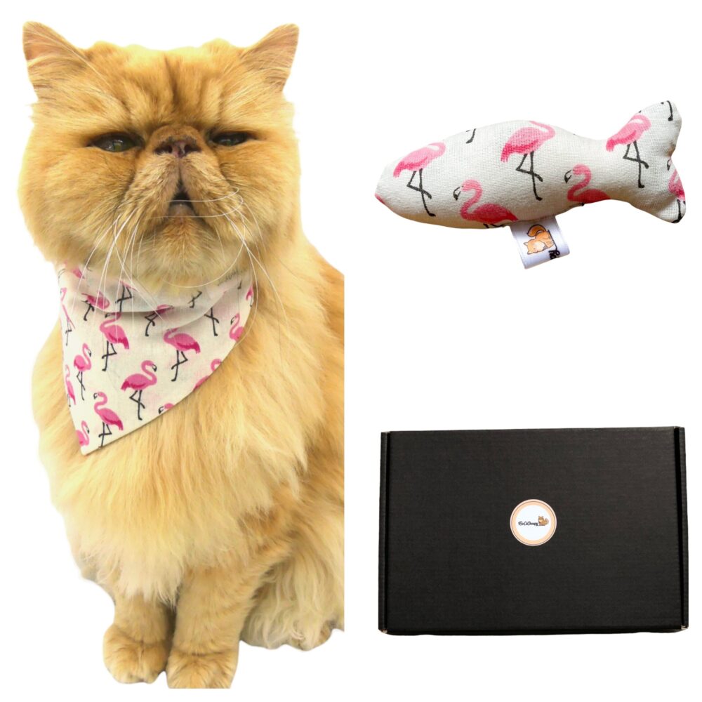 ChoupyBox Flamingo